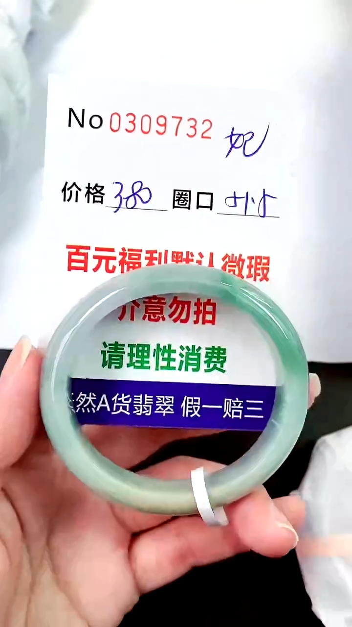 【闪购商品】翡翠手镯未镶嵌00309732