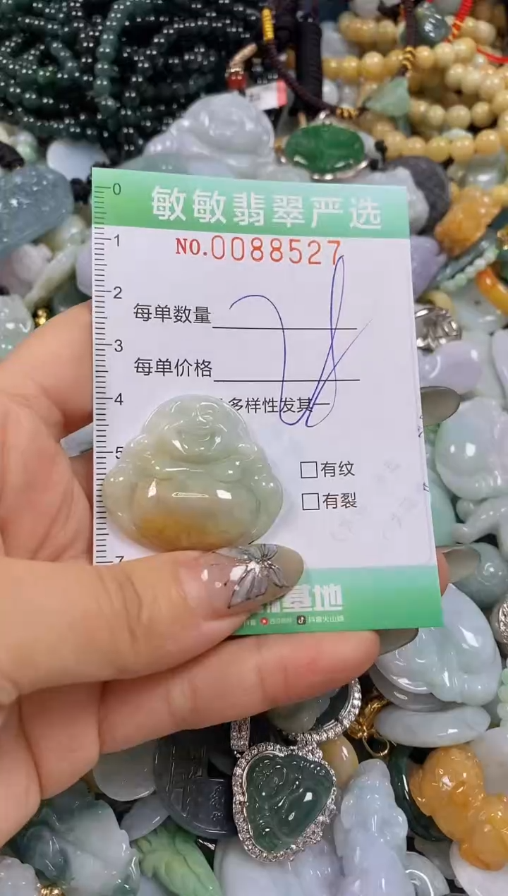 【闪购商品】翡翠颈饰未镶嵌闪购0088527