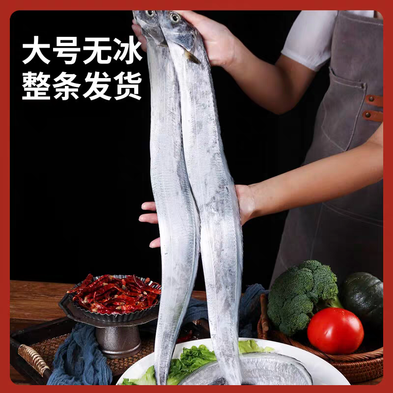 【顺丰包邮】送礼带鱼新鲜深海捕捞无冰鲜活海鲜刀鱼整条正宗水产