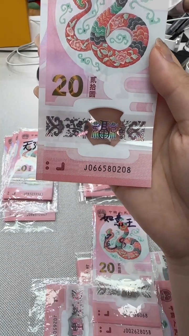 【闪购商品】塑料蛇钞如意王066580208 