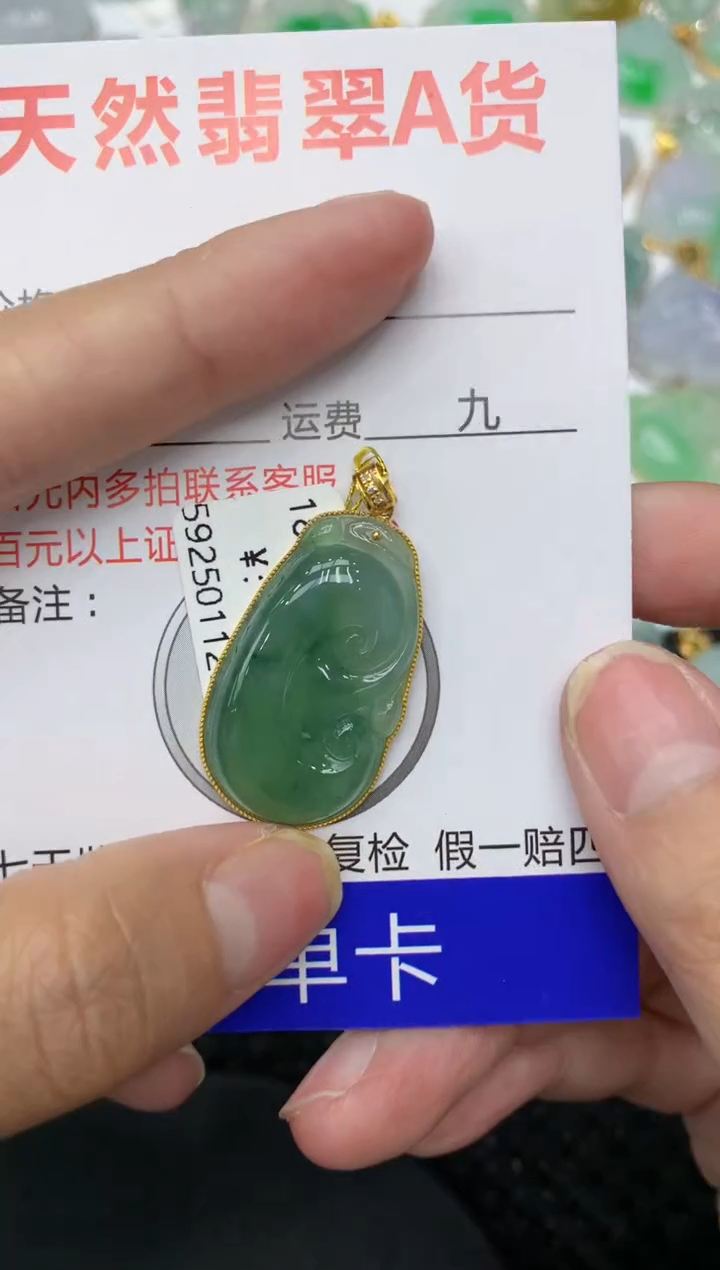 【闪购商品】翡翠颈饰18K金镶嵌111111111