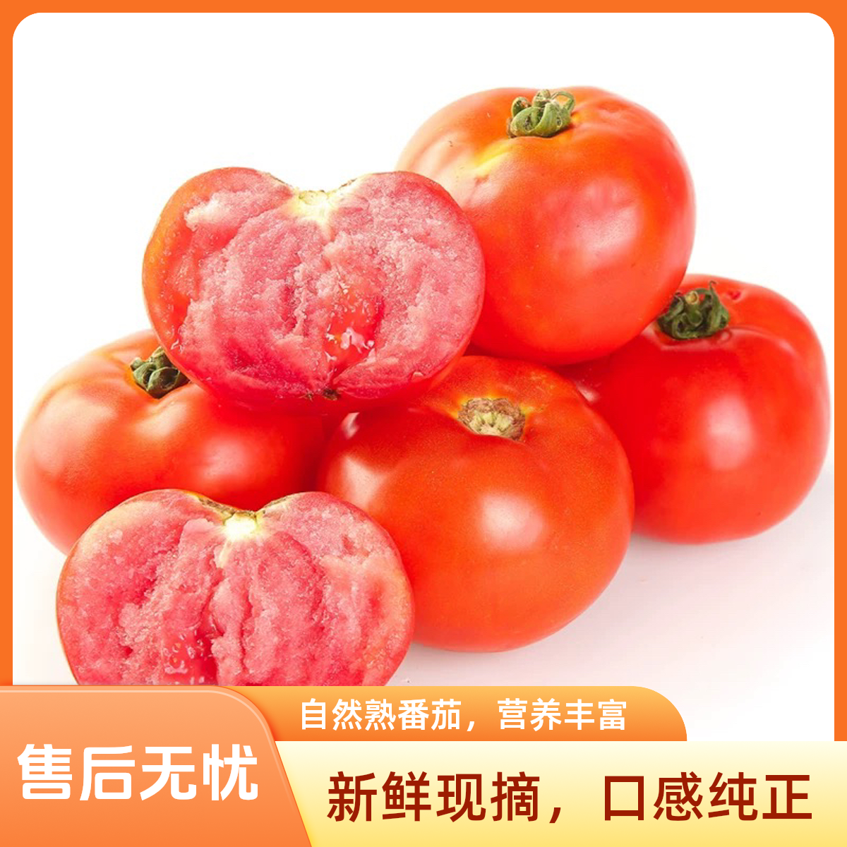 普罗旺斯西红柿新鲜营养美味饱满沙瓤多汁番茄同城送番茄同城配新疆维吾尔自治区