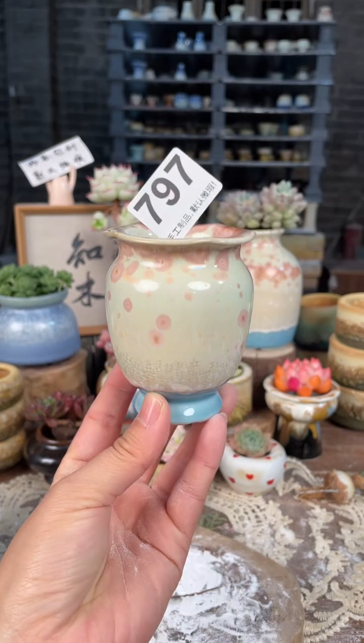 瓷片797知木小芳花盆直播编号