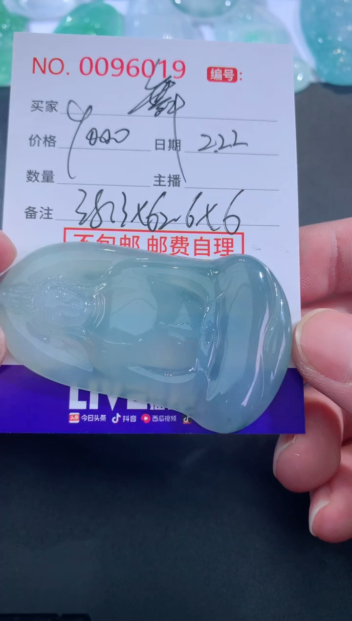 【闪购商品】翡翠颈饰未镶嵌舞