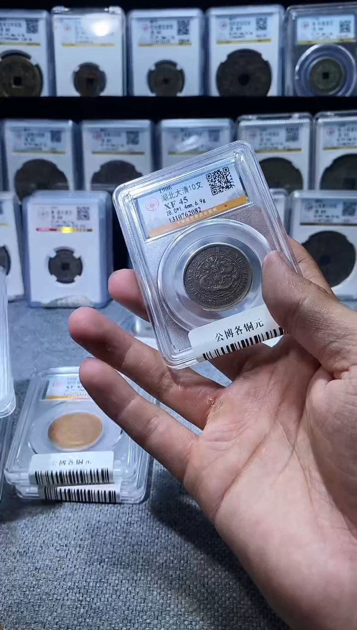 铜A606龙公博各铜元XF45湖北