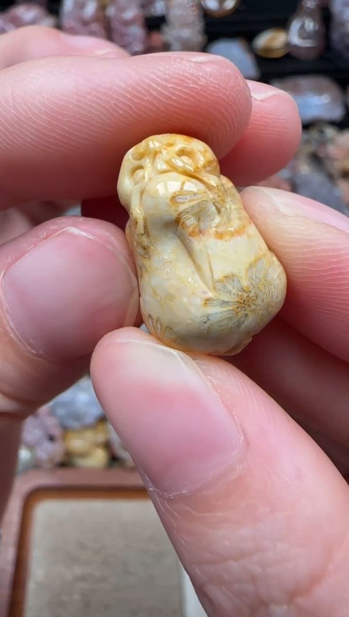 颈饰未镶嵌硅化珊瑚（珊瑚玉）587