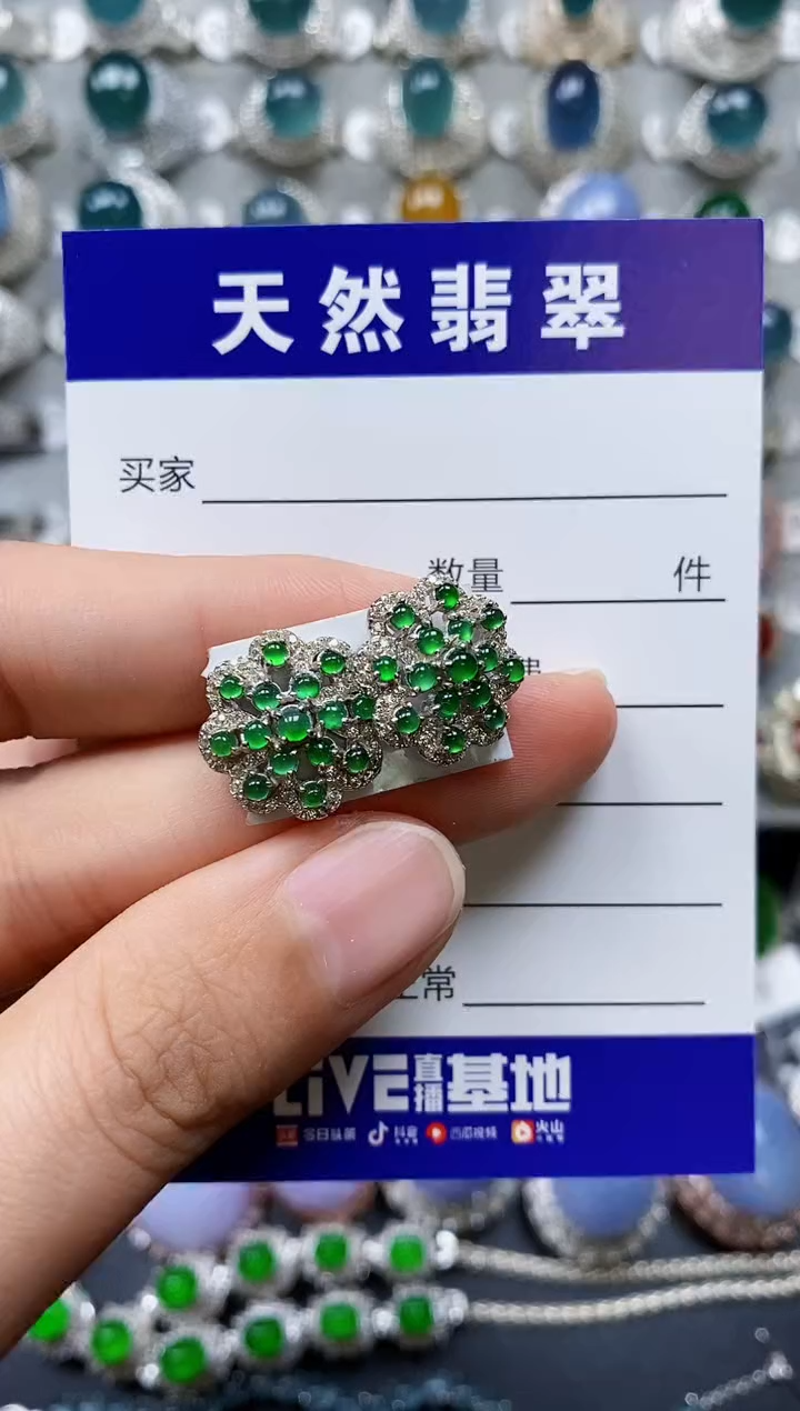 【闪购商品】翡翠耳饰银S925镶嵌0109
