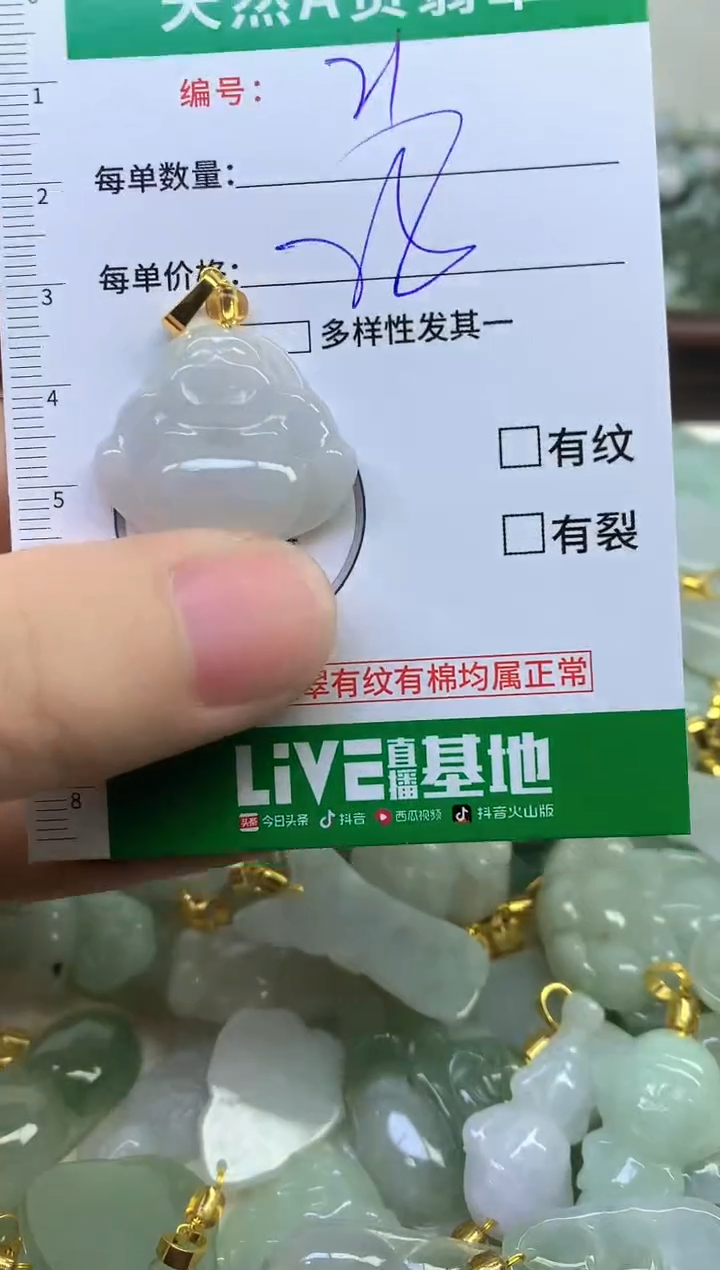 颈饰未镶嵌翡翠纯天然缅甸A货翡翠