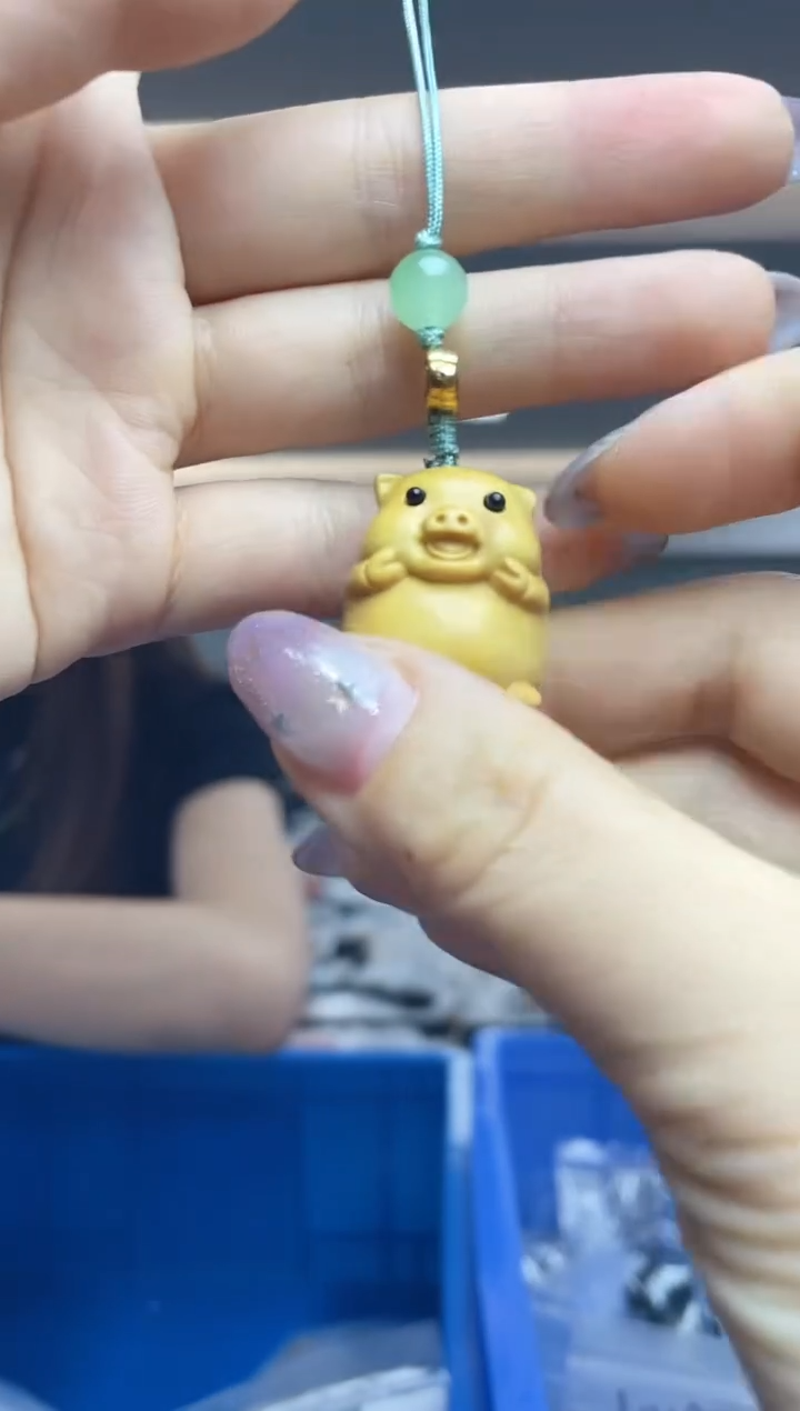 破布木（黄金檀）其他（多样性发一件）