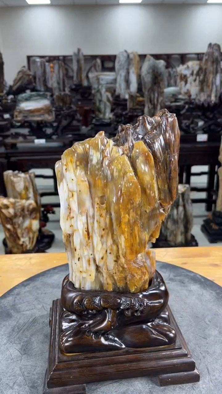 【闪购商品】硅化玉珠宝奇石未镶嵌1