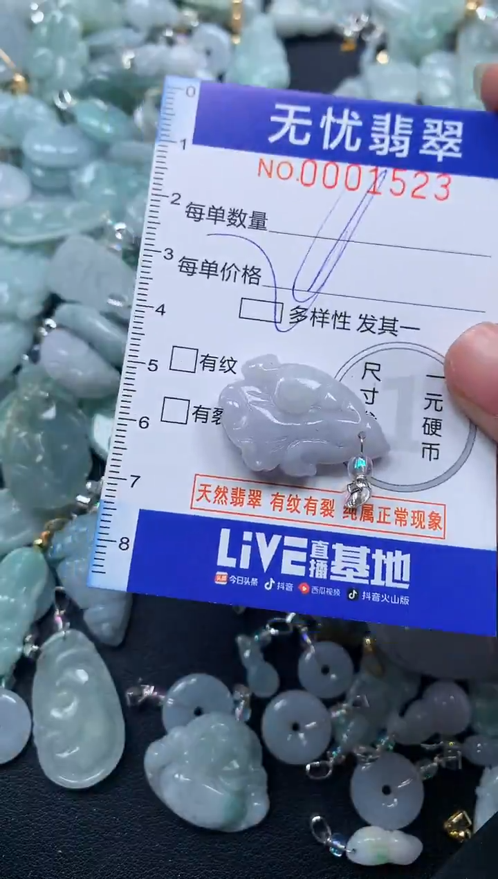 颈饰未镶嵌翡翠1523