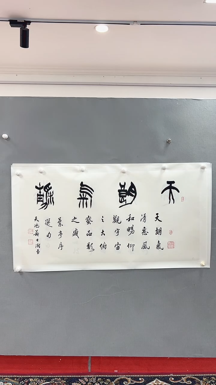 【闪购商品】书法雅艺典藏文化书法