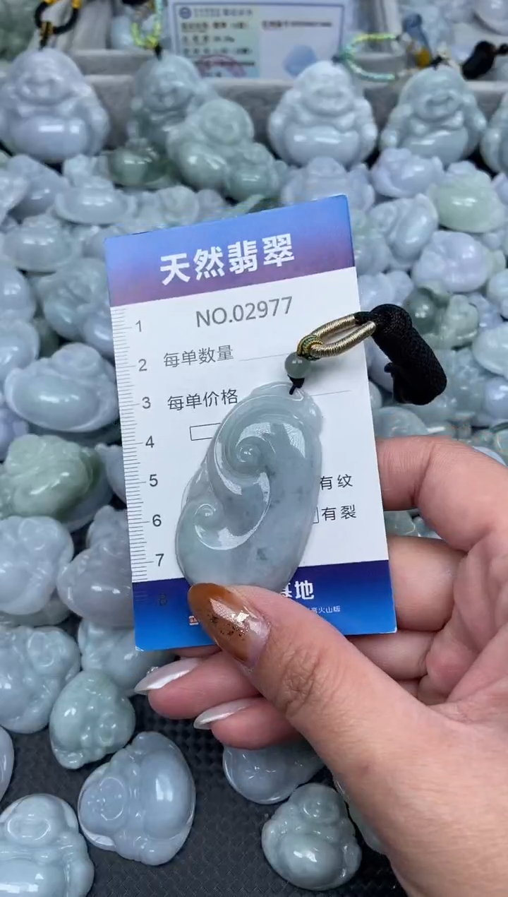 颈饰未镶嵌翡翠纯天然A货翡翠2977