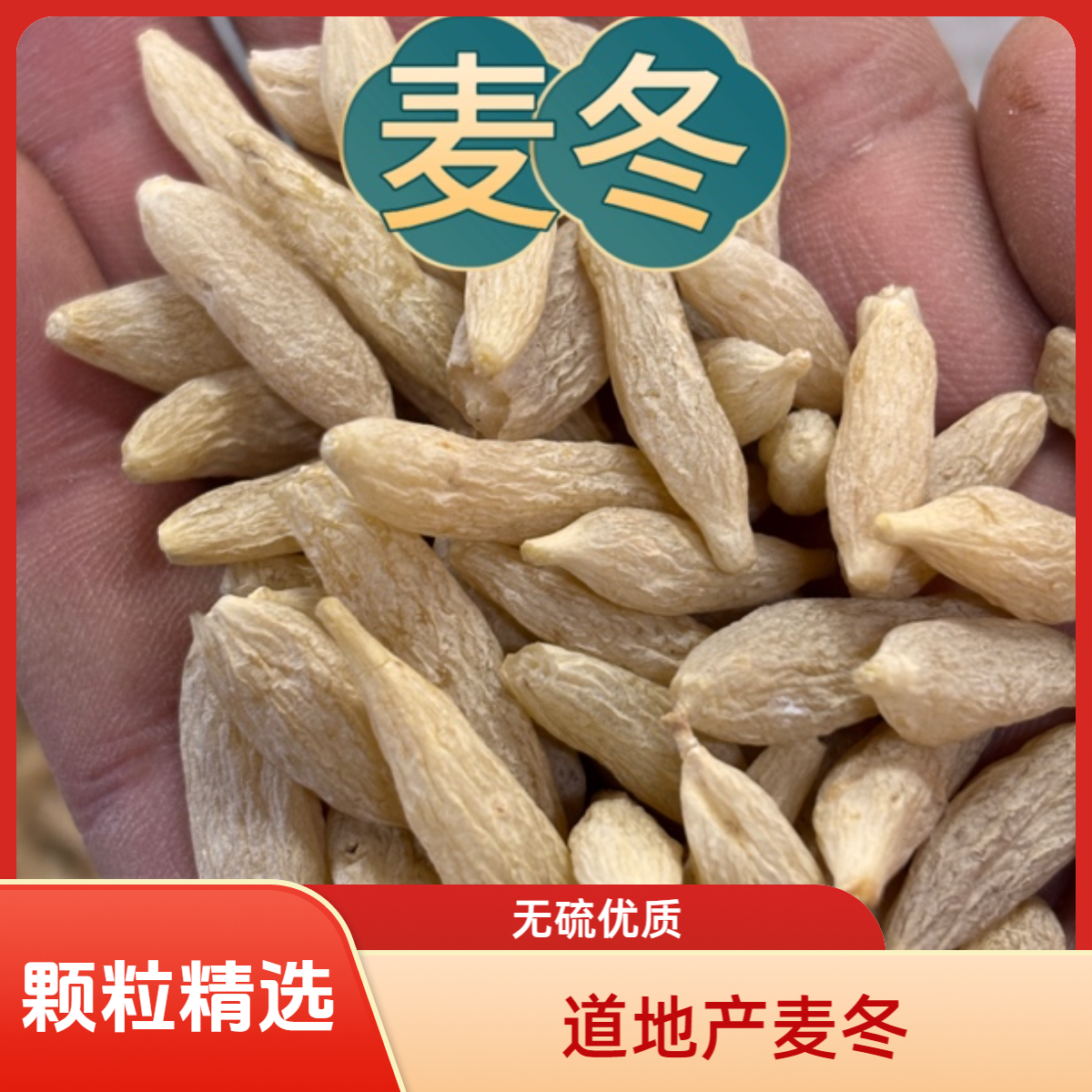 麦冬  道地产区四川绵阳 无硫新货 精选大颗粒 搭配黄芪枸杞