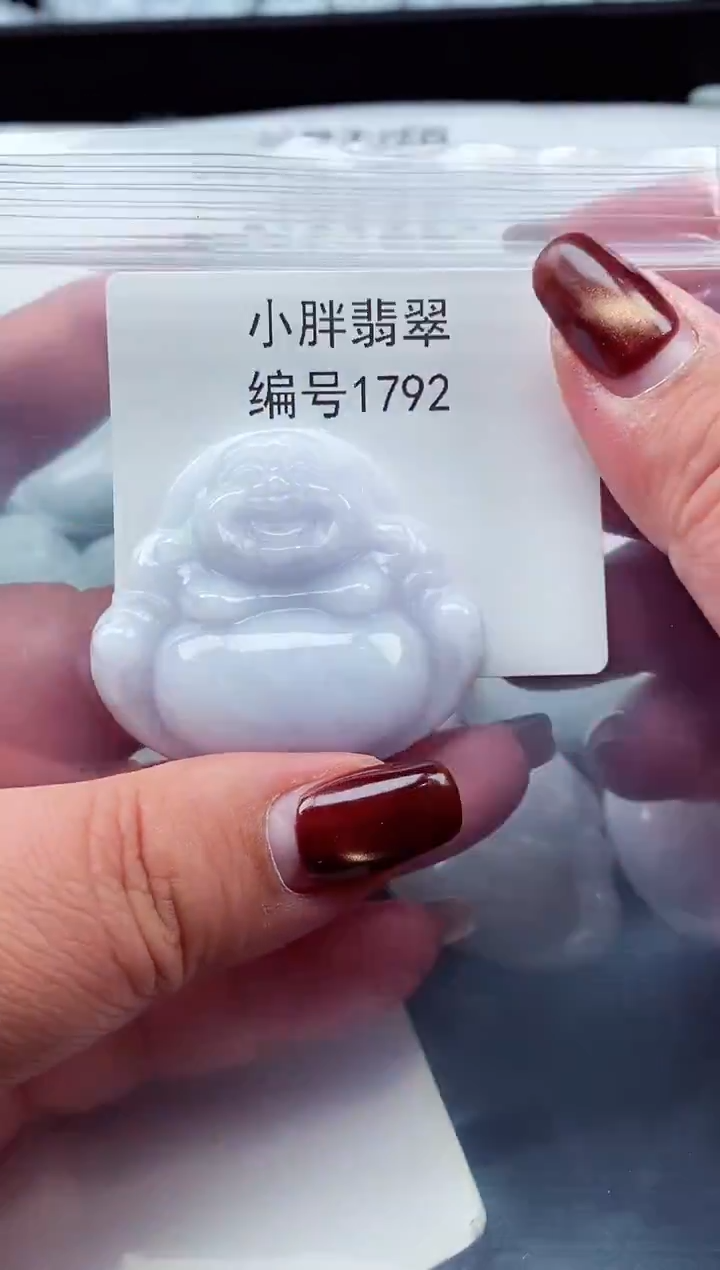 颈饰未镶嵌翡翠缅甸天然A货翡翠1792