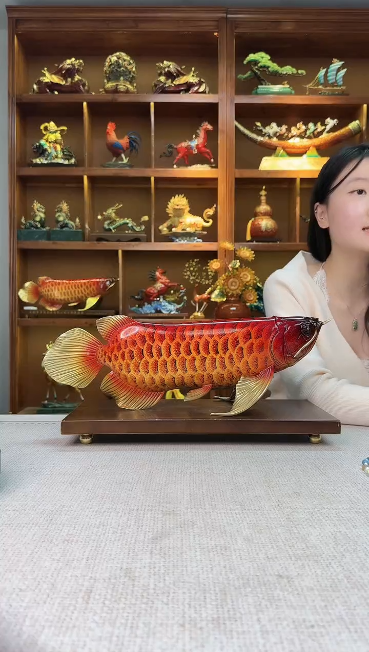 黄铜于*洋大号金龙鱼长46cm