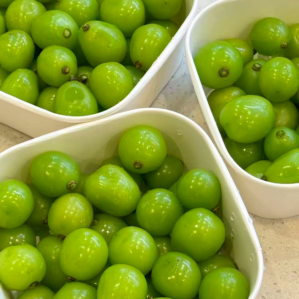 【八月皇后晴王葡萄】进口奢华精致饱满/一份一盒上海市