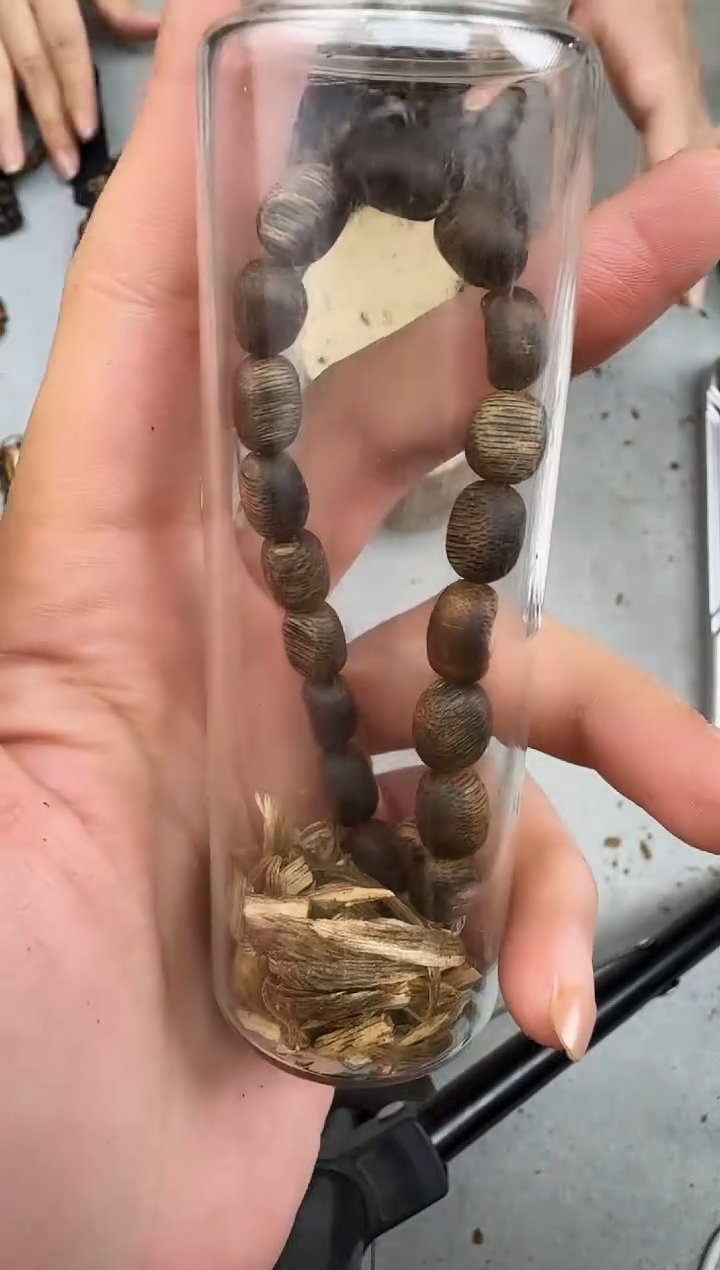 沉香沉香碎屑L0806张勺子留疤静静沉香甄选多样性发一