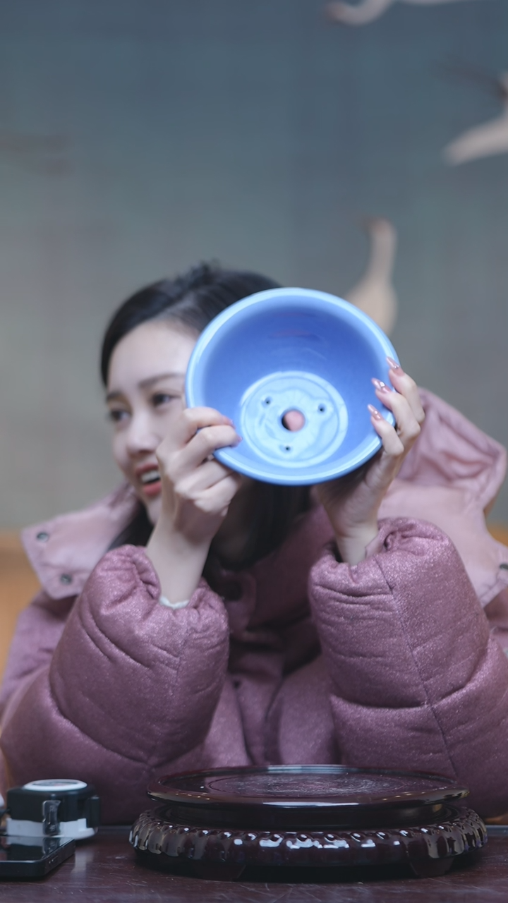 【闪购商品】陶瓷紫罗兰