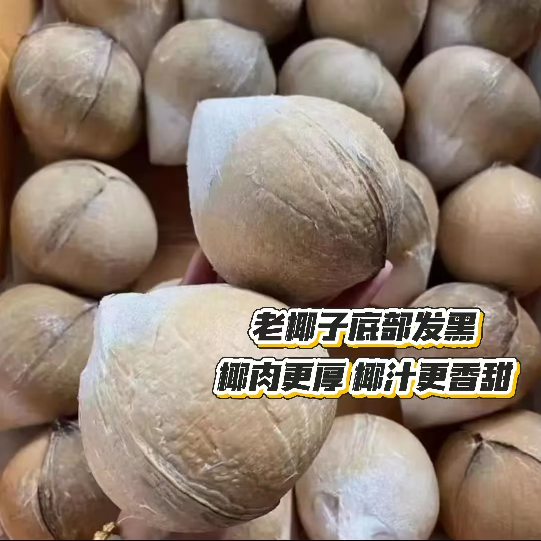 【京东包邮】泰国进口牛奶椰皇孕妇水果香水小奶椰6粒装