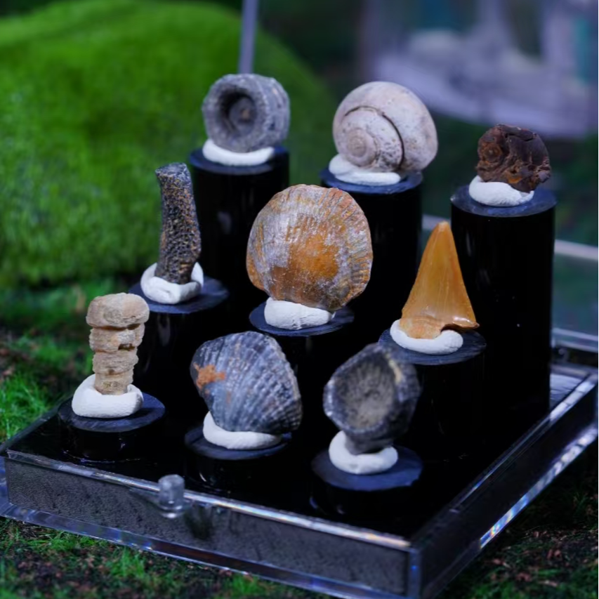 精品矿标-小摆件