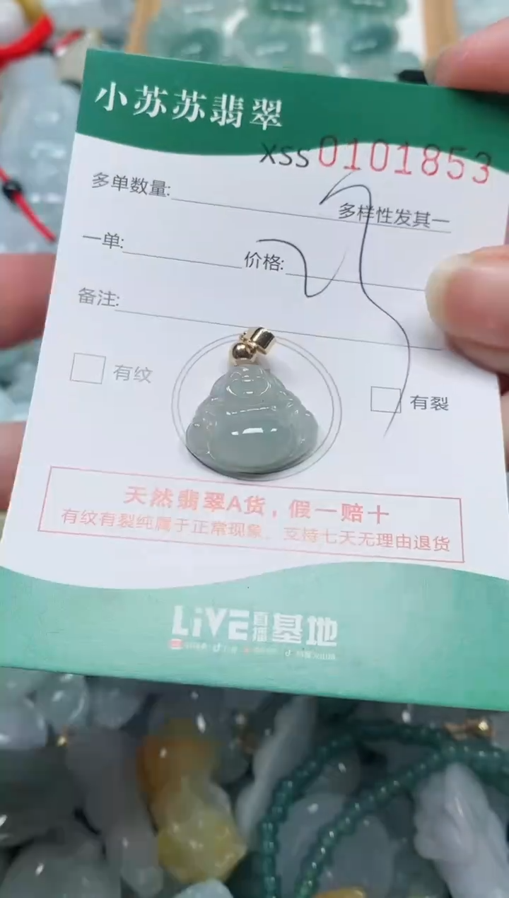 【闪购商品】翡翠颈饰未镶嵌闪购商品0101853