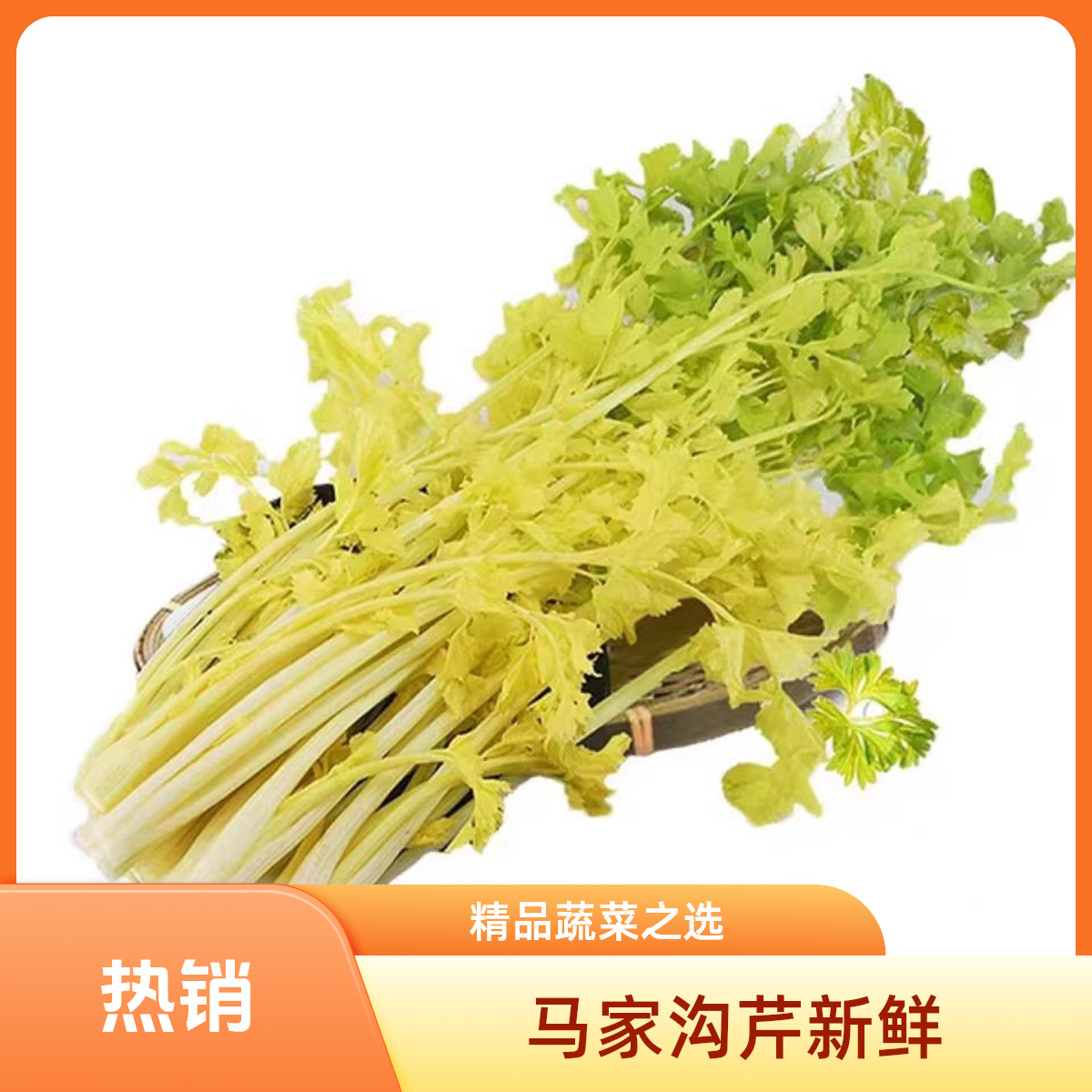 新鲜 马家沟芹菜 约1.8-2斤一份芹菜