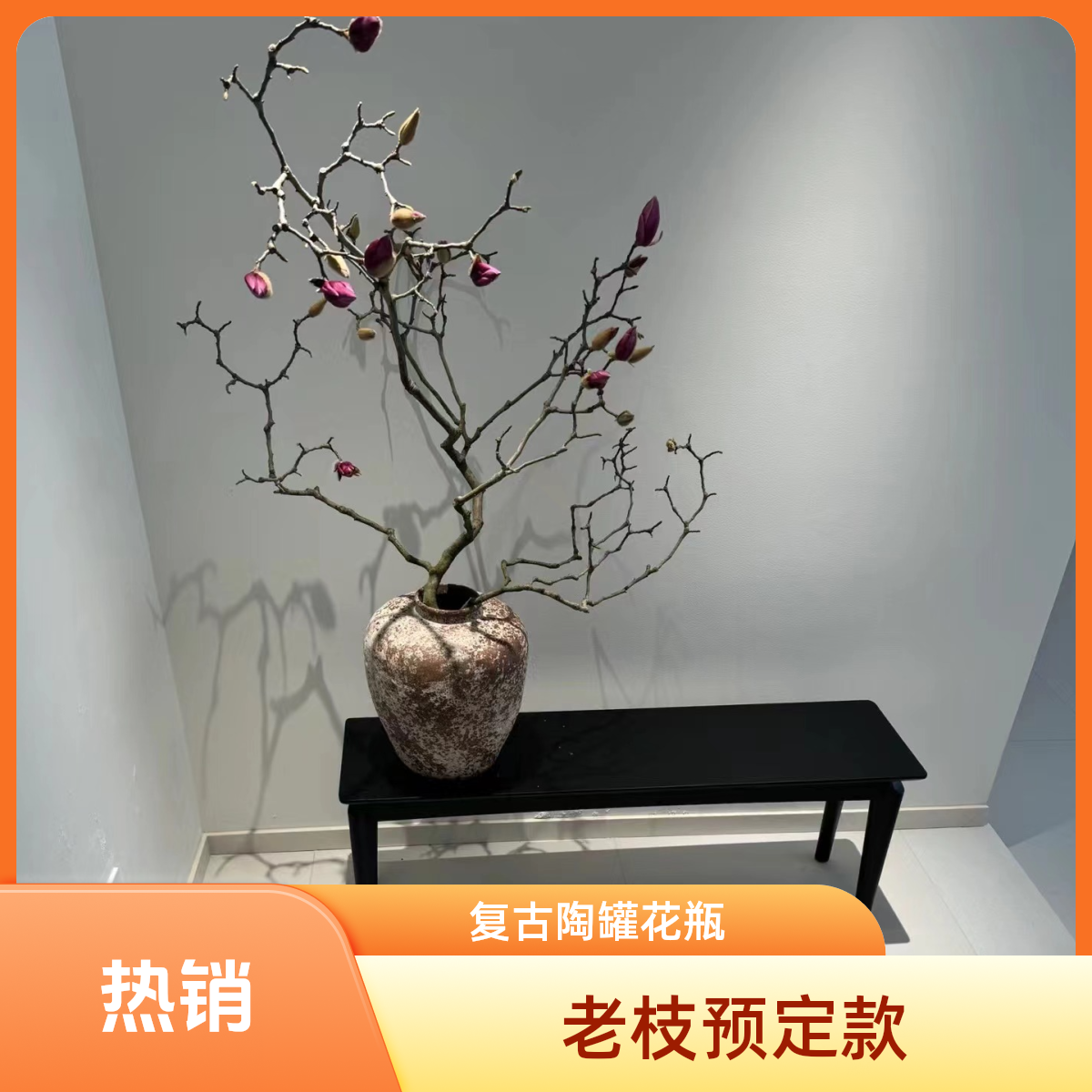 20年老枝玉兰拍下联系客服+营养液