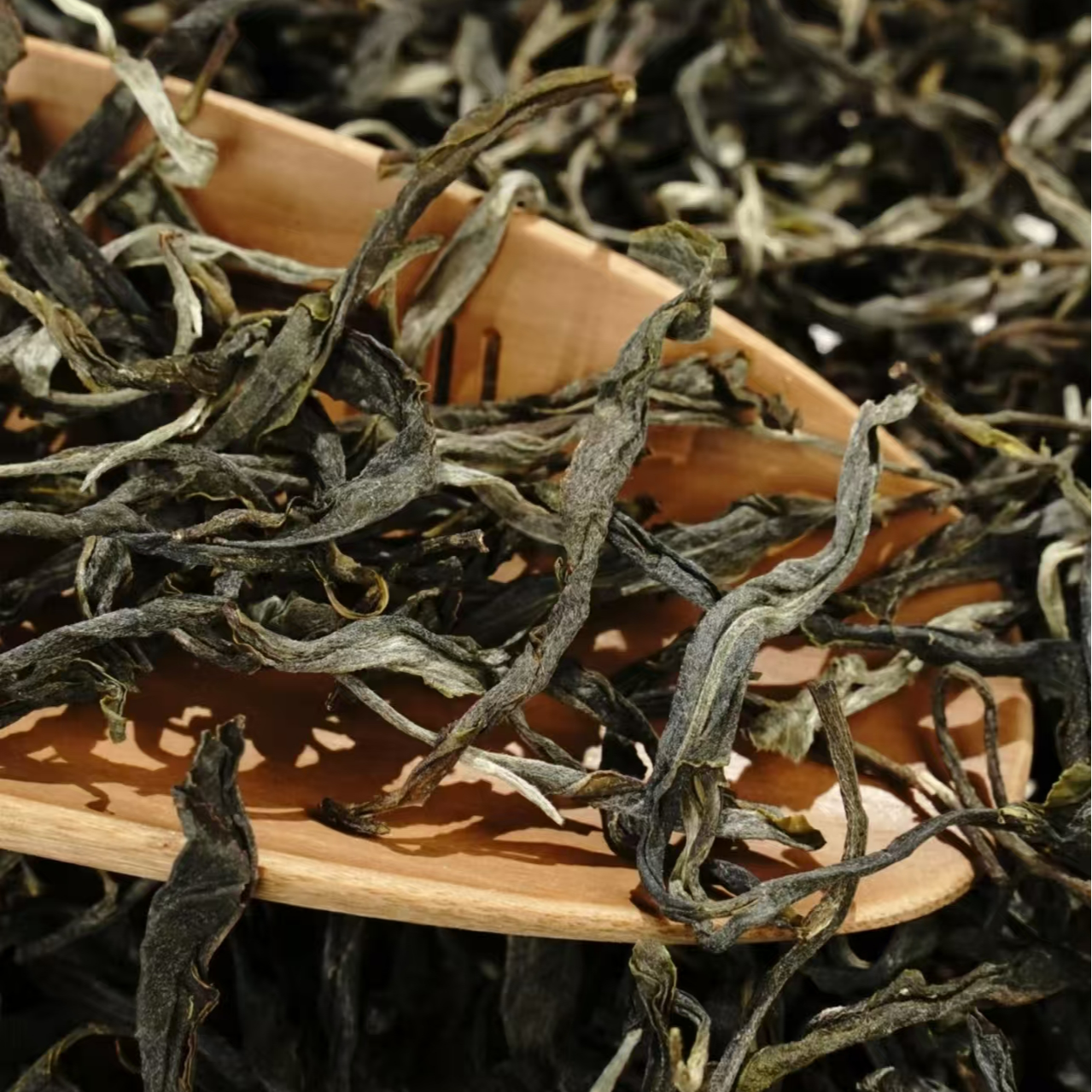 2025年冰岛核心区古树春茶