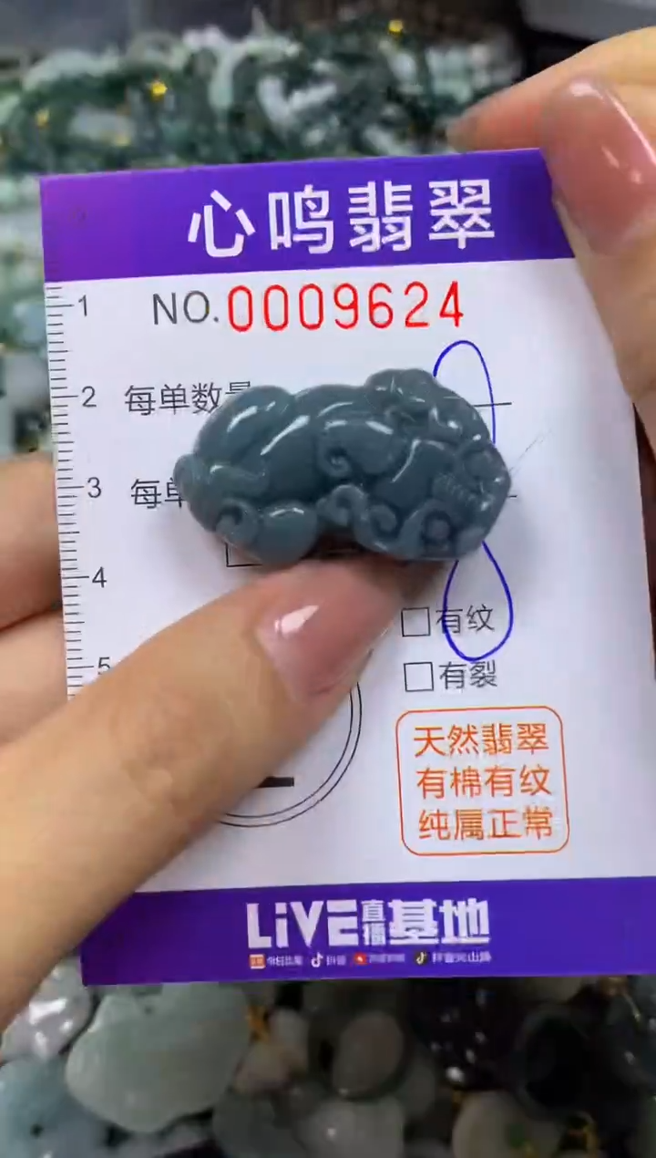 翡翠未镶嵌颈饰闪购009624