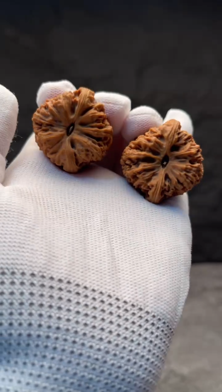 吊坠文玩核桃?****了南将