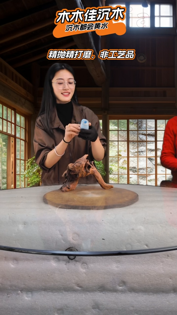 用****1木木佳沉木鱼缸造景665