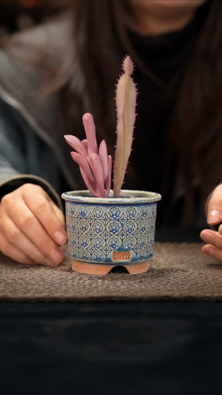 12-13-067花盆口径7.5