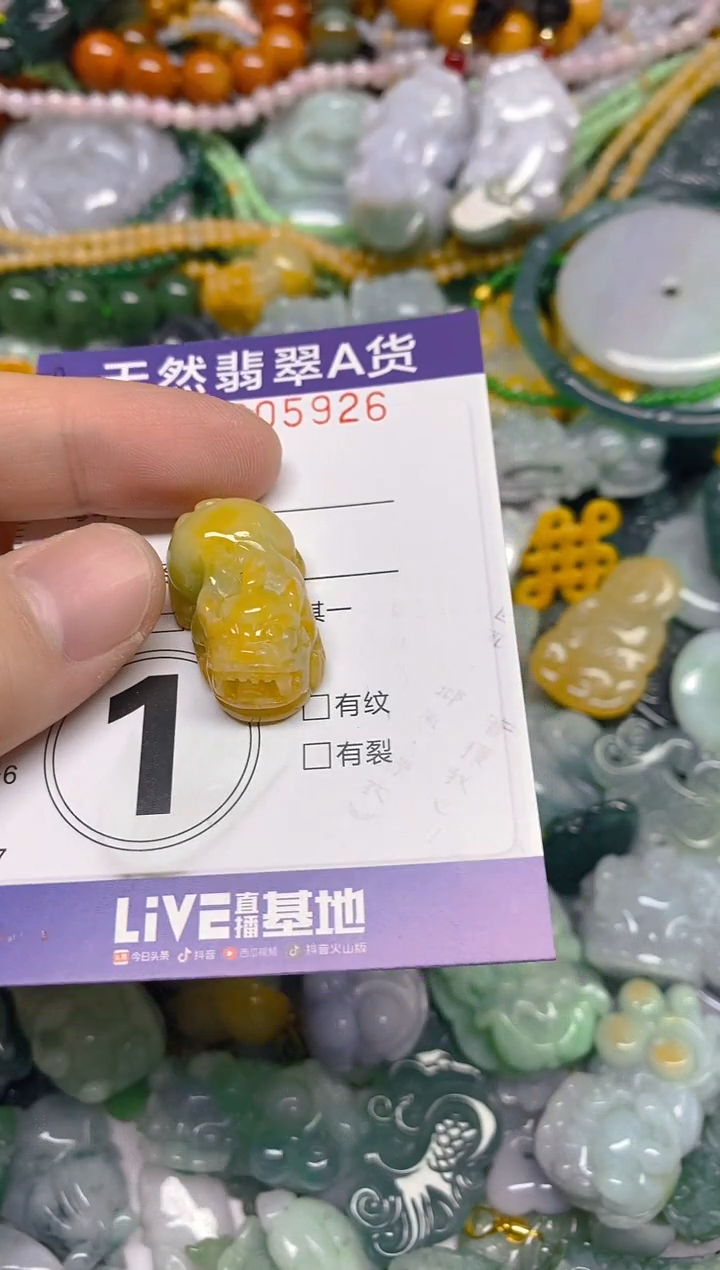 颈饰未镶嵌翡翠0005926