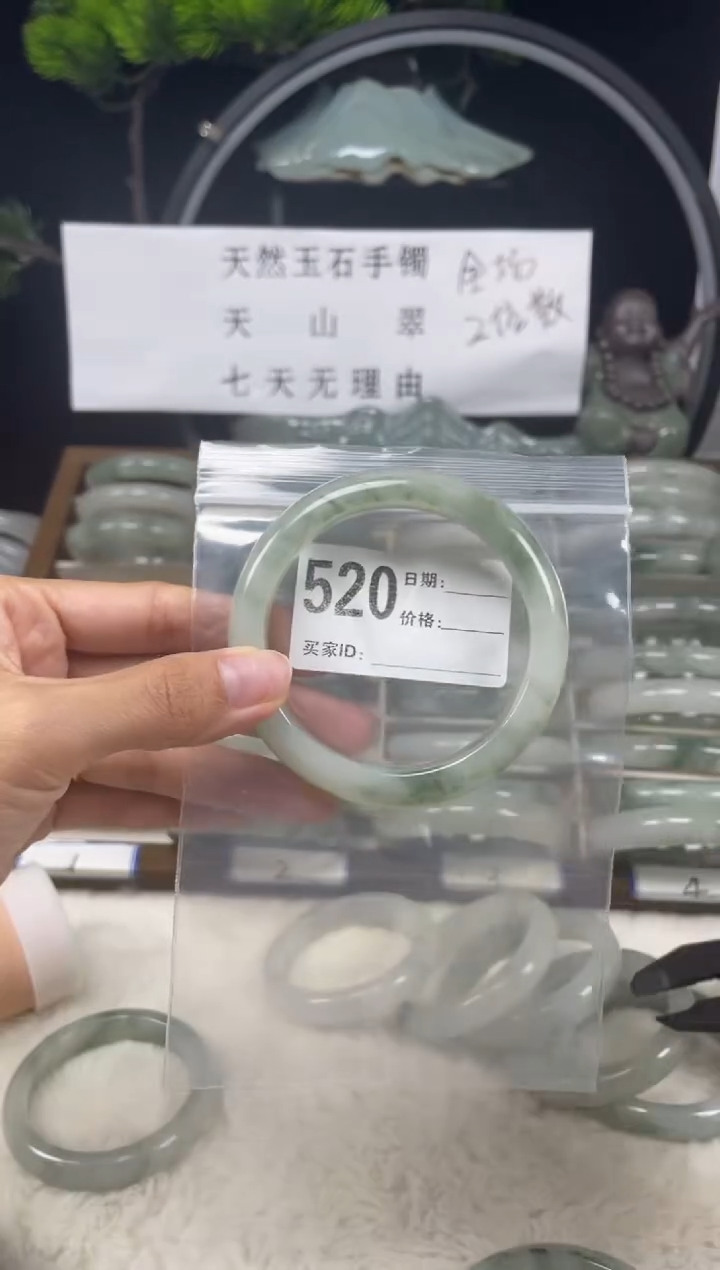 未镶嵌手镯石英质玉（天山翠）520