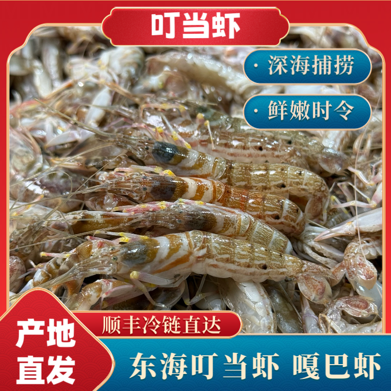 【船冻锁鲜】活冻叮当虾 嘎巴虾 生腌爆炒红烧都好吃 口味鲜美！