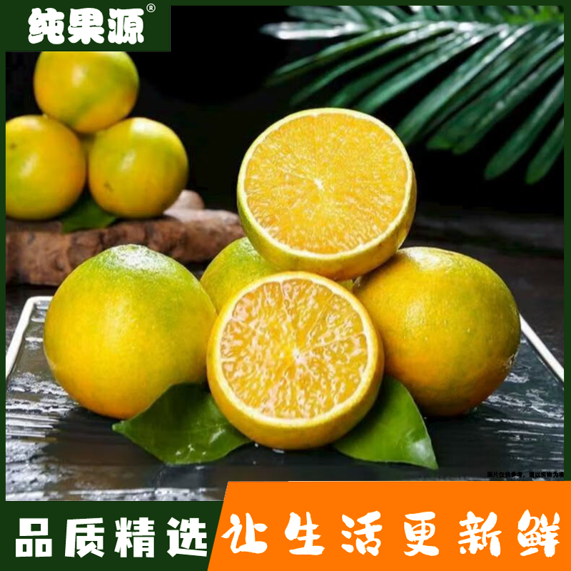 【纯果源小时达】红美人爱媛【2斤装】