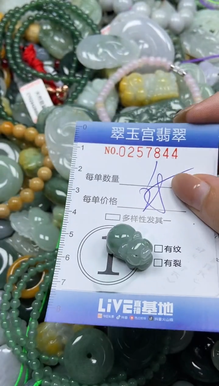 颈饰未镶嵌翡翠闪购C0257844