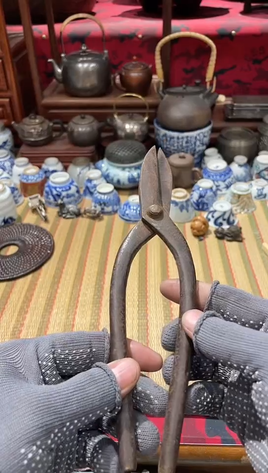 发发发发发发发发发