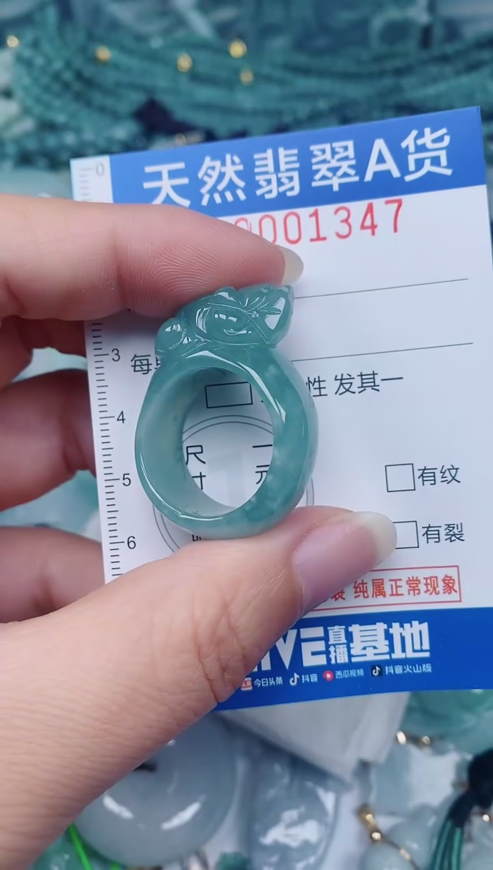 颈饰未镶嵌翡翠00001347