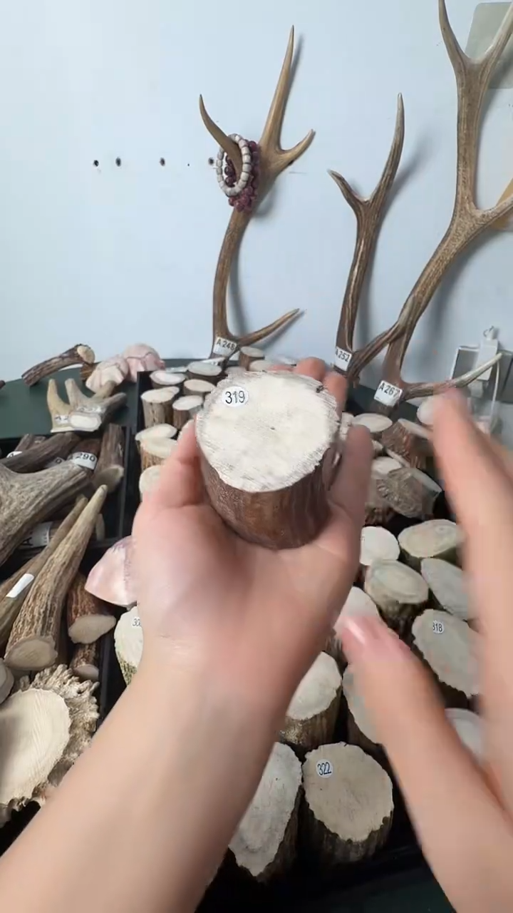 原皮鹿角雕刻料高密度