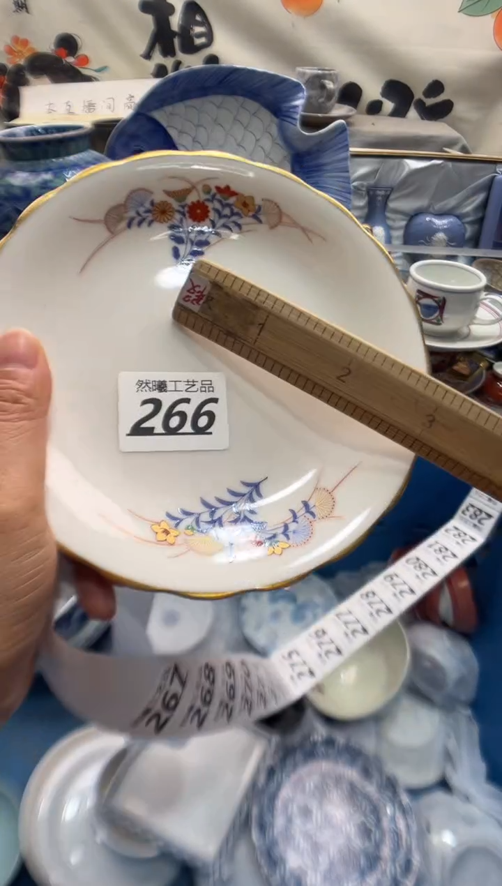瓷片柳*266       