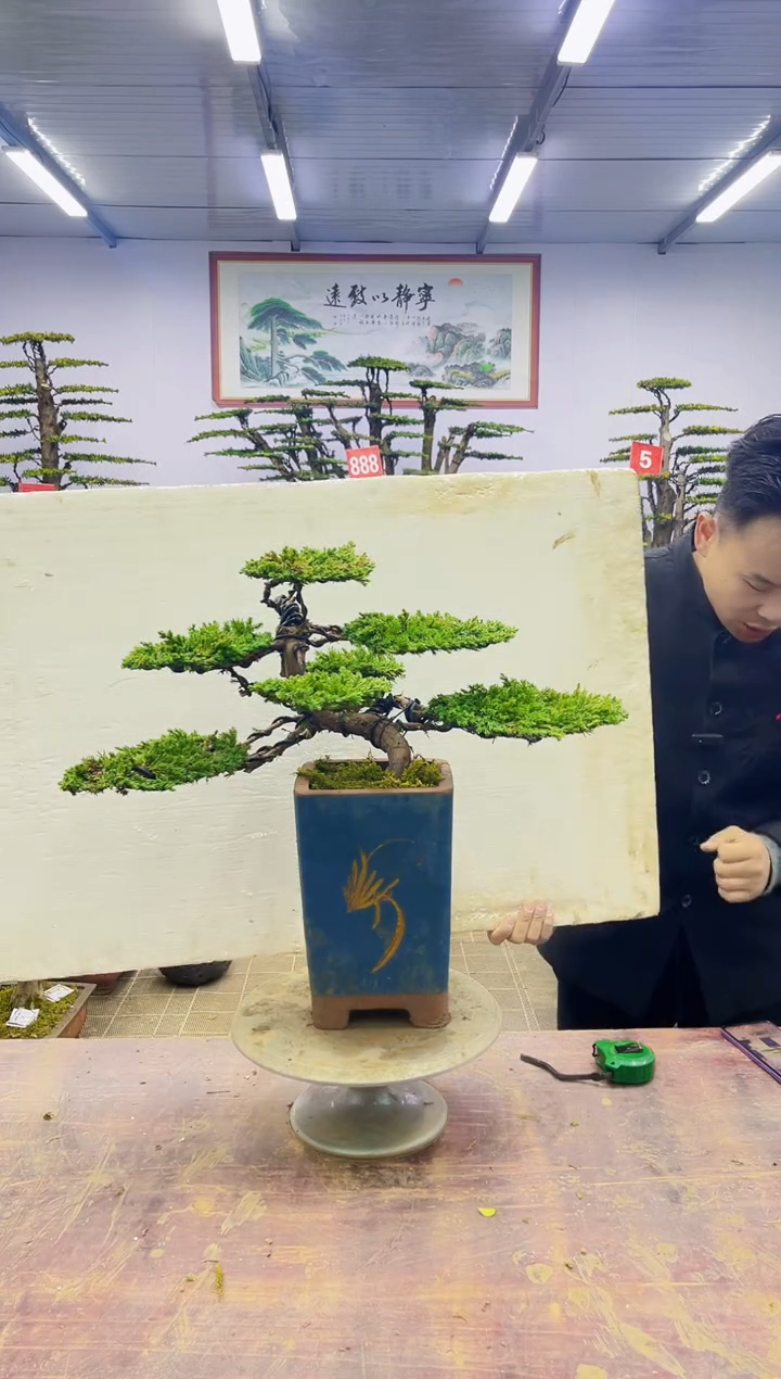 【闪购商品】一物一拍，所见即所得