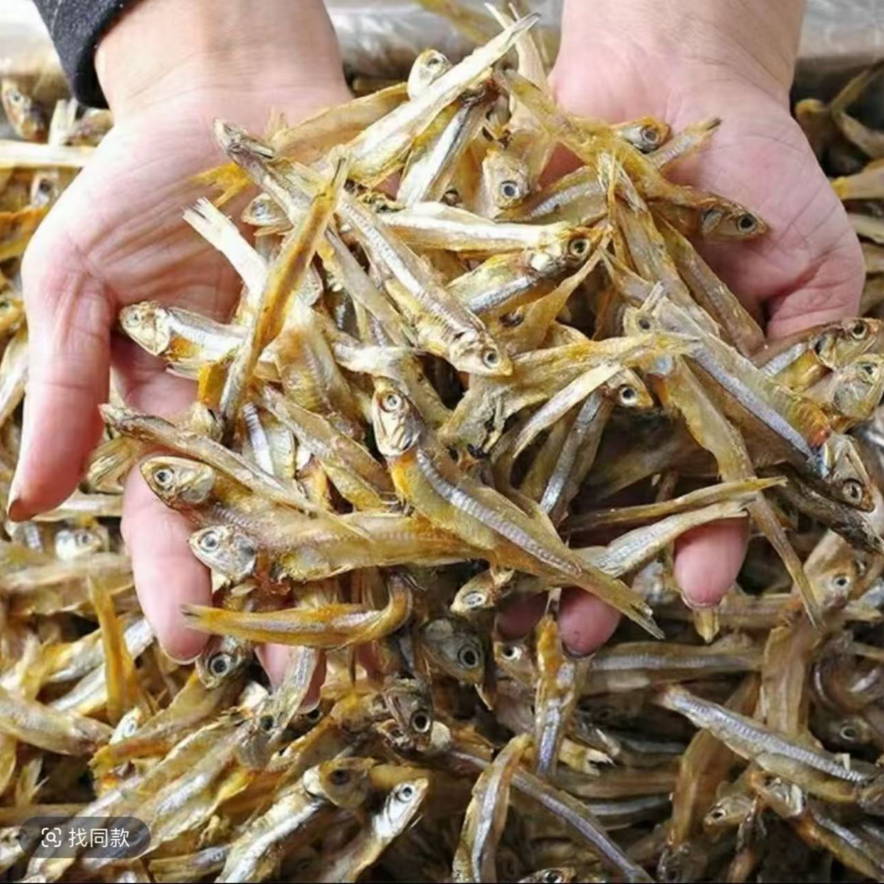 【一斤装 特价抢购】公干鱼干白公鱼美味海鲜干货海燕丁香鱼咸鱼干T