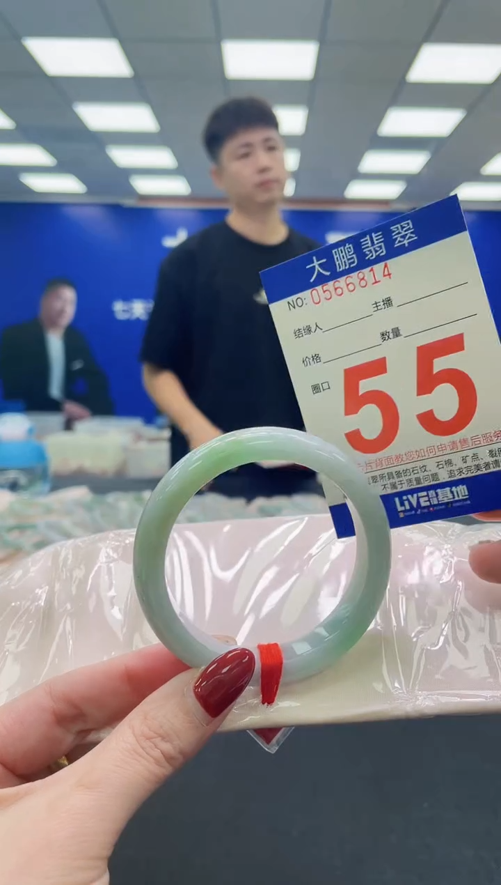 未镶嵌手镯翡翠AAAAAAAAA