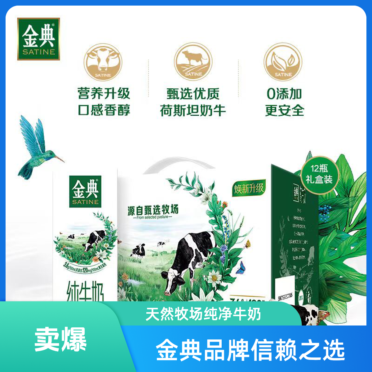 【现货送礼袋京东包邮】伊利金典纯牛奶2箱*250ml*12盒 营养早餐全脂高钙纯牛奶6月27号生产 红绿礼袋随机发