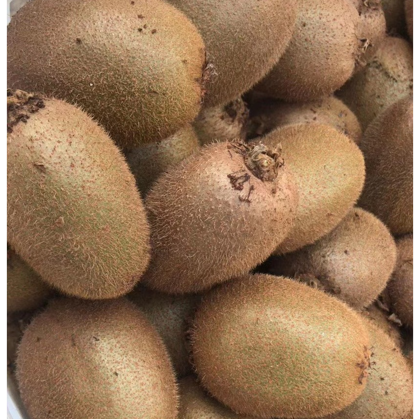 陕西徐香猕猴桃约0.7-0.8斤/份（3-4个果子）新鲜猕猴桃