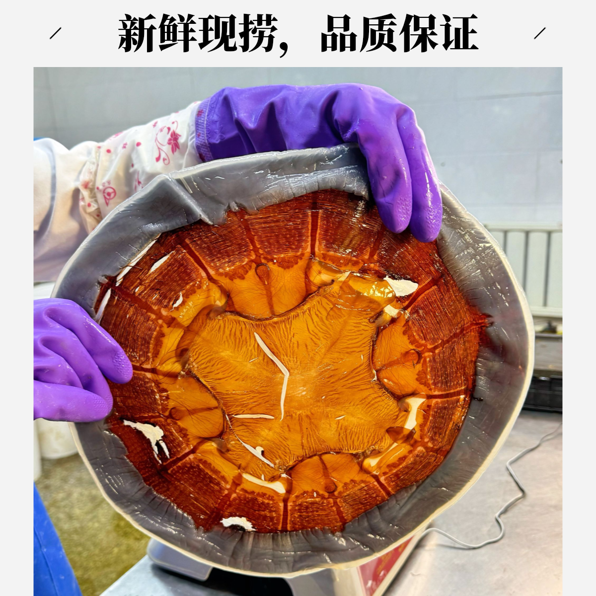 【海蜇皮】提干皮棉红蜇皮 净重五斤嫩脆包邮净重无泥沙