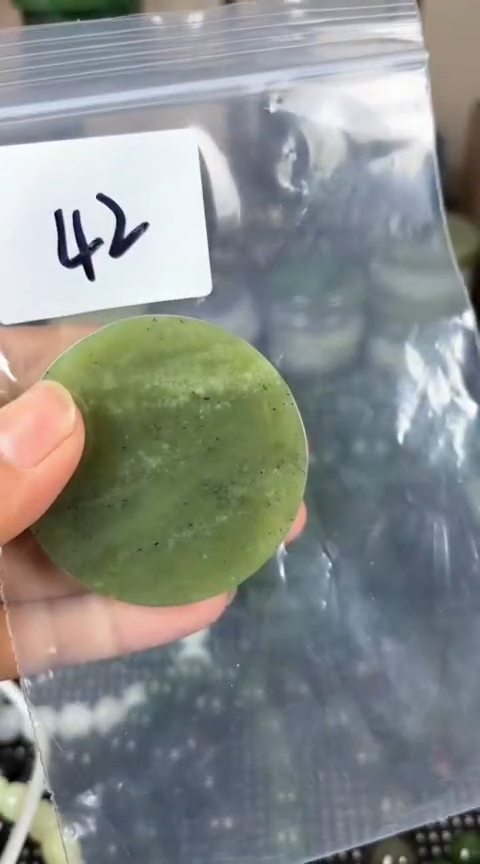 【闪购商品】和田玉珠宝半成品未镶嵌镯心
