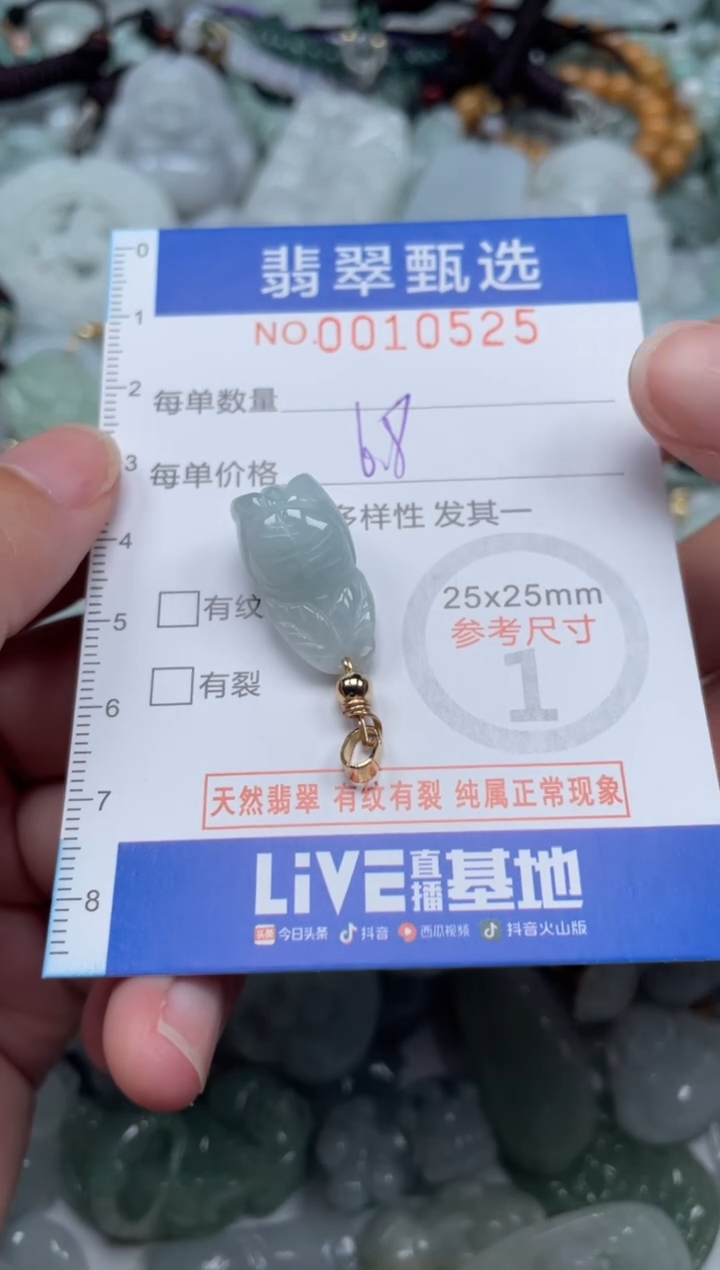 颈饰未镶嵌翡翠10525